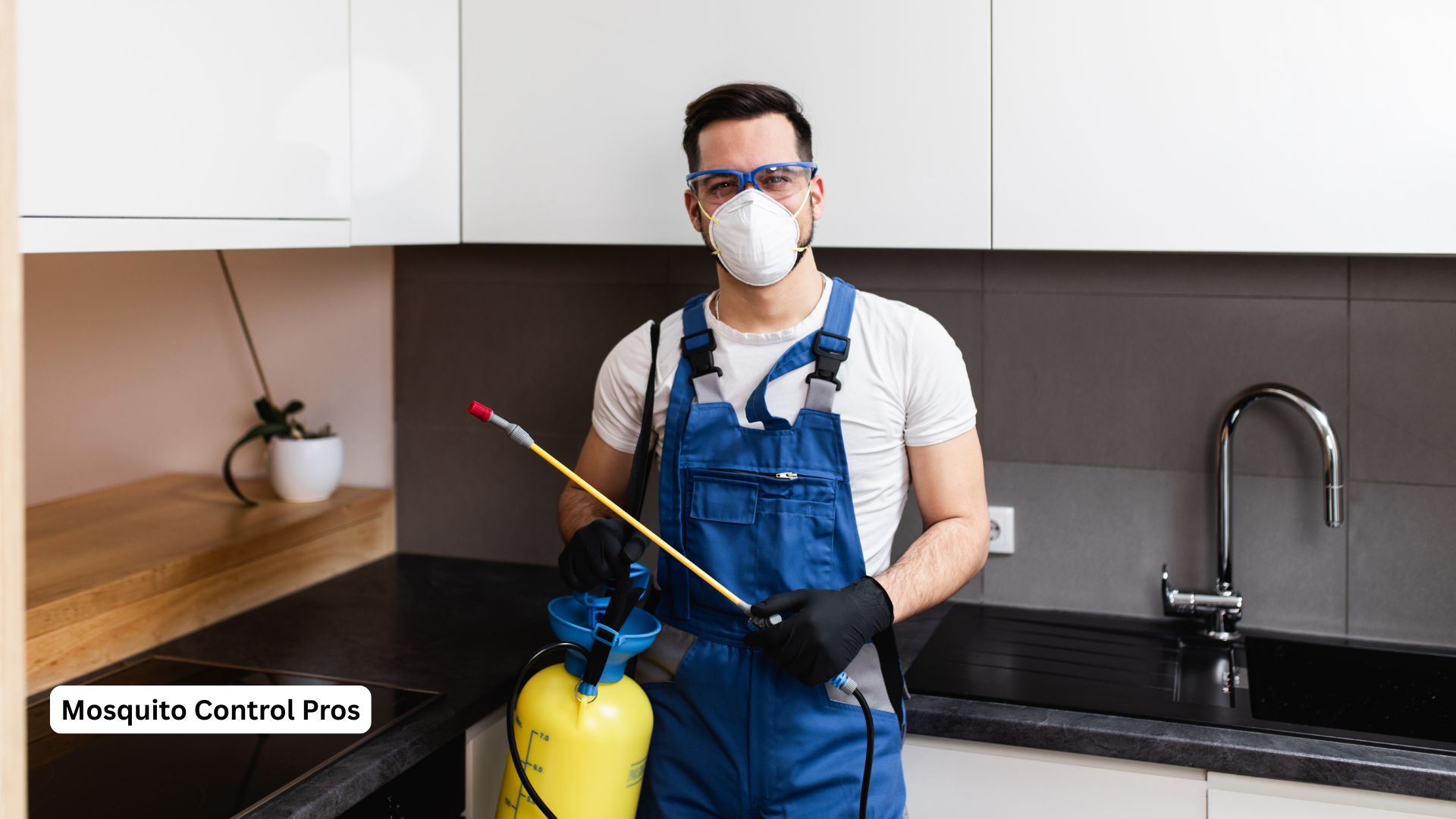 Professional mosquito control treatment in The Woodlands Texas