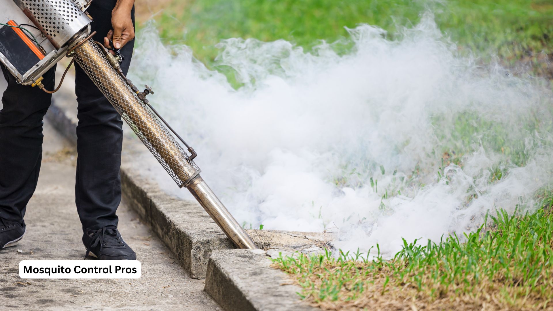 Mosquito breeding site inspection and treatment