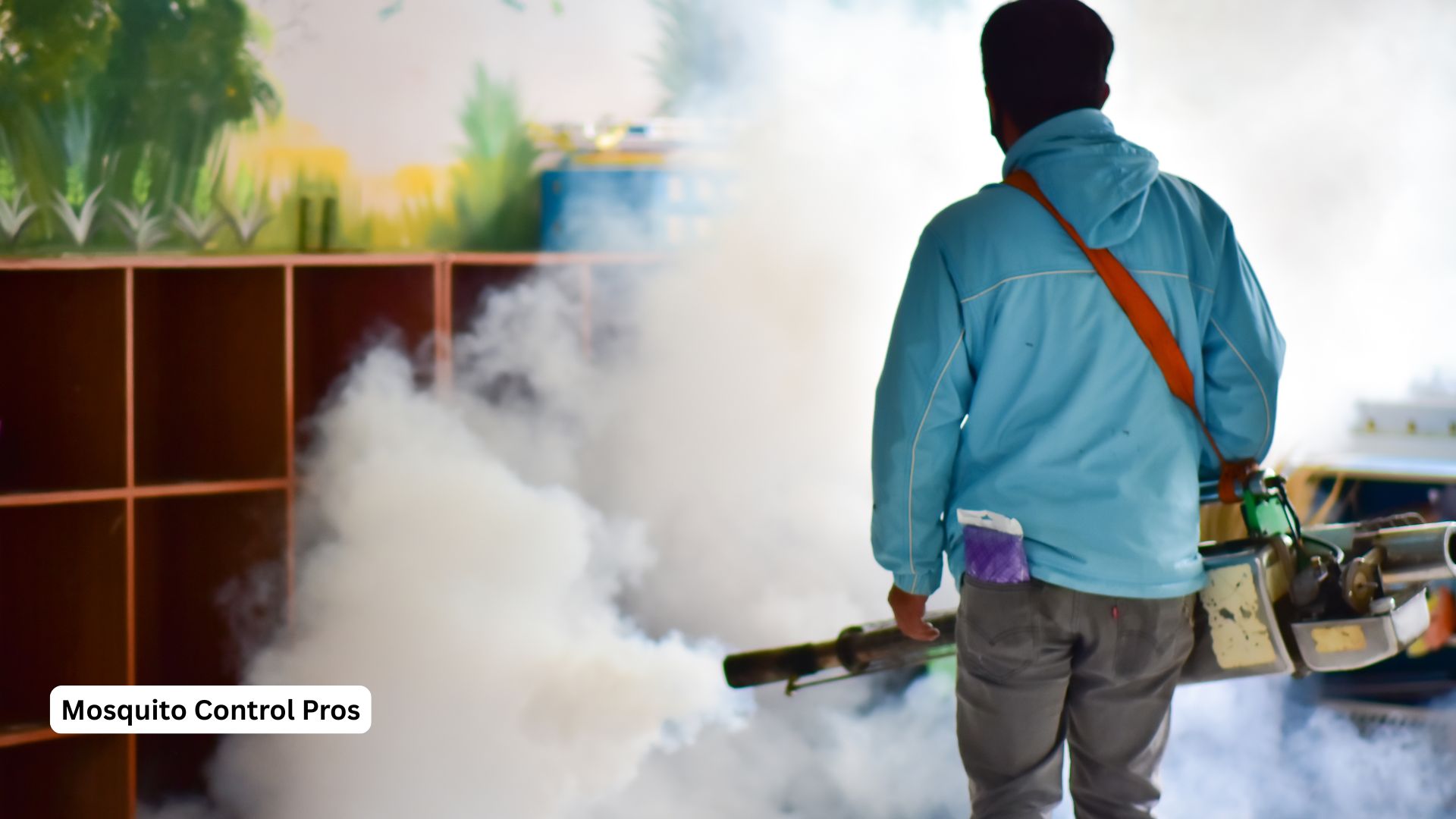 Professional mosquito control process demonstration