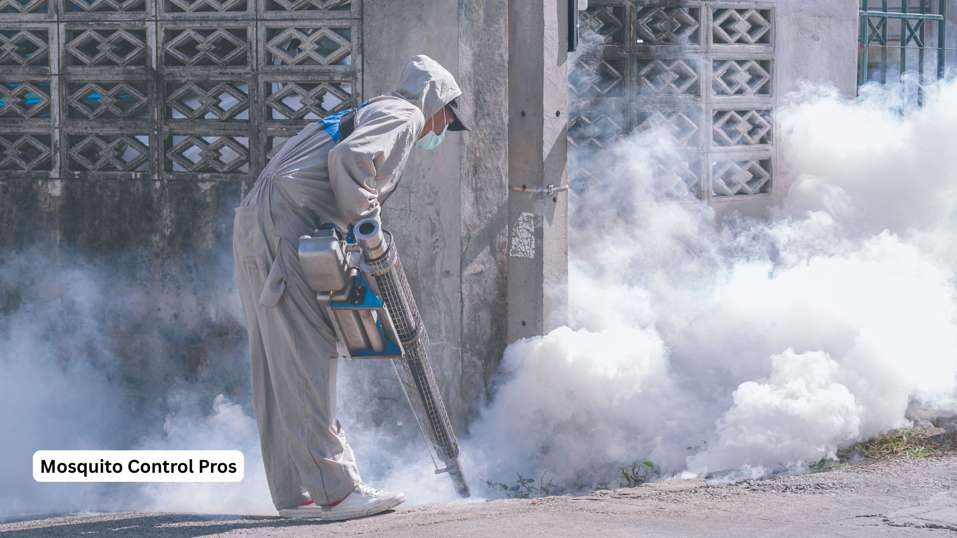 Comprehensive year-round mosquito control programs