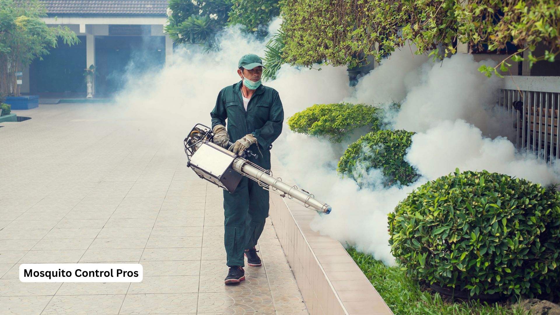 Mosquito fogging treatment for luxury properties